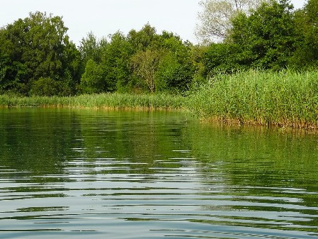Umweltschutz